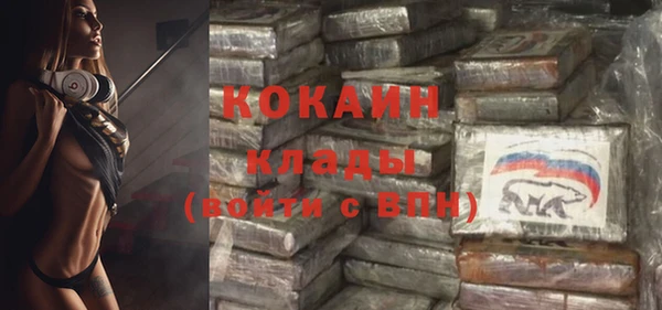 шишки Нефтегорск