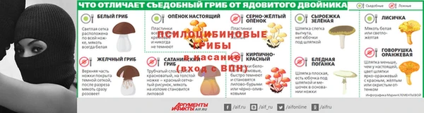 шишки Нефтегорск