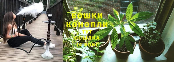 Альфа ПВП Гусь-Хрустальный